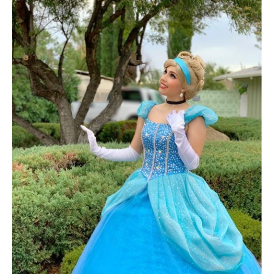 Ladies shop cinderella costume